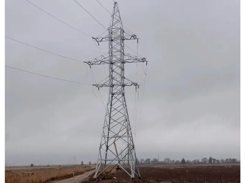 மாவோ டோங்கின் வாடிக்கையாளர் கருத்து